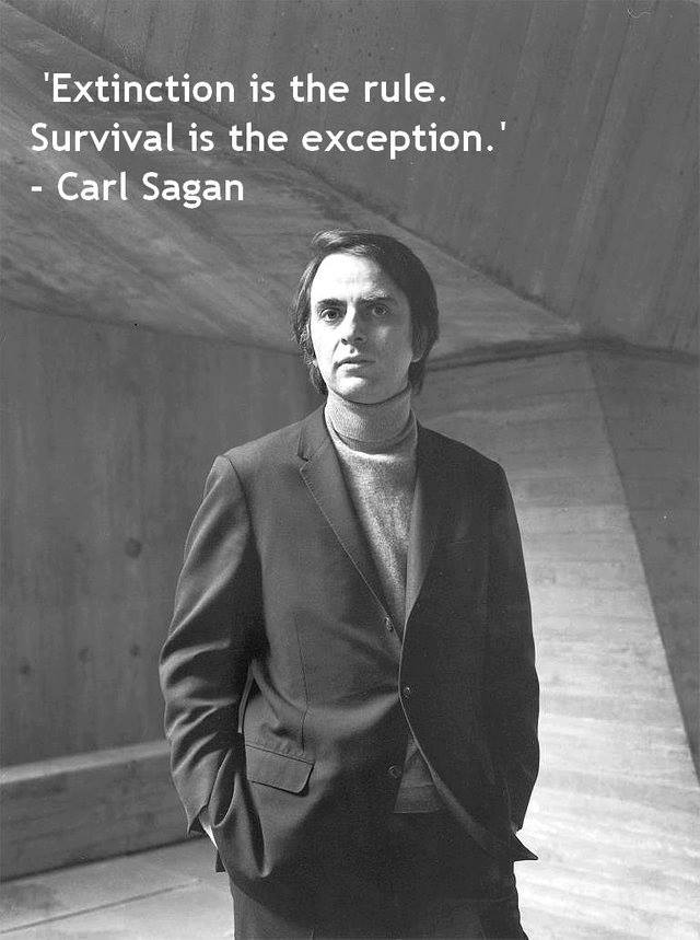 Carl Sagan Extinction is the rule.